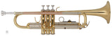 Bach Trompete TR650 Goldmessing in Bb-Stimmung inklusive Softcase