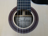 Cordoba Klassikgitarre 4/4 - Modell GK - Fichte / Ziricote - Limited Edition mit Tonabnehmer