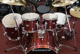 Ludwig Drumset Element Evolution in Red Sparkle inkl. Centent Dolphin Cymbals