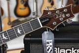 PRS Paul Reed Smith SE Hollowbody Standard Piezo in Dog Hair Smoke Burst inkl. Koffer