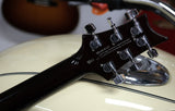 PRS Paul Reed Smith SE DGT David Grissom Trem Tabacco Sunburst inklusive Gigbag