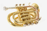 Roy Benson Taschencornet / Taschentrompete PT-101 (Pocket Trumpet) Goldmessing in Bb-Stimmung inkl. Softcase