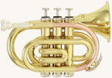 Roy Benson Taschencornet / Taschentrompete PT-101 (Pocket Trumpet) Goldmessing in Bb-Stimmung inkl. Softcase