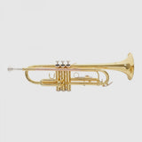 Roy Benson Trompete TR-101 Goldmessing in Bb-Stimmung inklusive Softcase