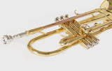 Roy Benson Trompete TR-101 Goldmessing in Bb-Stimmung inklusive Softcase