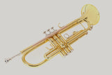 Roy Benson Trompete TR-101 Goldmessing in Bb-Stimmung inklusive Softcase