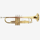Roy Benson Trompete TR-101 Goldmessing in Bb-Stimmung inklusive Softcase