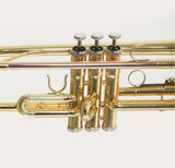 Roy Benson Trompete TR-101 Goldmessing in Bb-Stimmung inklusive Softcase