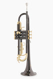 Roy Benson Trompete TR-101K Black in Bb-Stimmung inklusive Softcase