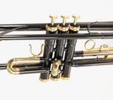 Roy Benson Trompete TR-101K Black in Bb-Stimmung inklusive Softcase