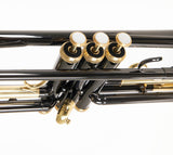 Roy Benson Trompete TR-101K Black in Bb-Stimmung inklusive Softcase