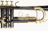 Roy Benson Trompete TR-101K Black in Bb-Stimmung inklusive Softcase