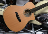 Walden G3033RCE mit Fishman Tonabnehmersystem und eingebautem Stimmgerät, inkl. Gigbag