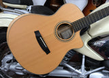 Walden G3033RCE mit Fishman Tonabnehmersystem und eingebautem Stimmgerät, inkl. Gigbag