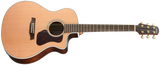 Walden G630CE mit Tonabnehmersystem und eingebautem Stimmgerät, inkl. Gigbag