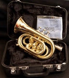 Jupiter Trompete im Kleinformat JPT-416 (Taschentrompete / Taschencornet), Bb-Stimmung, Goldmessing lackiert, inkl. Koffer