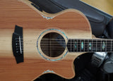 Cole Clark AN3EC-RDBL mit Tonabnehmersystem inkl. Originalkoffer