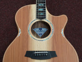Cole Clark AN3EC-RDBL mit Tonabnehmersystem inkl. Originalkoffer