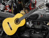 Do Santos Klassikgitarre 4/4 Custom Shop DS120SG-650 vollmassiv