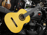 Do Santos Klassikgitarre 4/4 Custom Shop DS120SG-650 vollmassiv