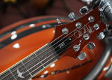 PRS Paul Reed Smith SE Standard 245 Tabacco Sunburst inkl. Originalgigbag