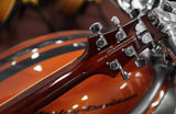 PRS Paul Reed Smith SE Standard 245 Tabacco Sunburst inkl. Originalgigbag