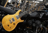 PRS Paul Reed Smith USA Custom 24 Ten Top Wood Library 30th Anniversary