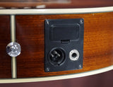 Ibanez Acoustic Bass 4-String AEGB20E-VV Violin Burst mit Pickup System