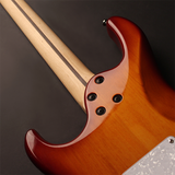 Cort Electric Guitar G250-TAB Tabacco Burst (transparent lackiert - Holzstruktur sichtbar), inkl. Gigbag