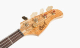 Cort E-Bass Rithimic Jeff Berlin Signature Modell / 4-String