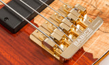 Cort E-Bass Rithimic Jeff Berlin Signature Modell / 4-String