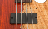 Cort E-Bass Rithimic Jeff Berlin Signature Modell / 4-String