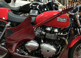 Epiphone by Gibson Firebird Wine Red, inkl. Gigbag
