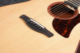 Ibanez Acoustic Guitar AAD300CE-LGS mit sehr gutem Tonabnehmer