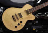 Ibanez ARC500 Natural inkl. Deluxe Gigbag