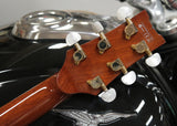 Ibanez ARC500 Natural inkl. Deluxe Gigbag