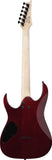 Ibanez Electric Guitar Ibanez GRGR221PA-AQB Aqua Burst
