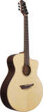 Ibanez Acoustic Guitar PA300E-NSL Natural Satin Low Gloss inkl. Softcase / 3-fach Pickup System